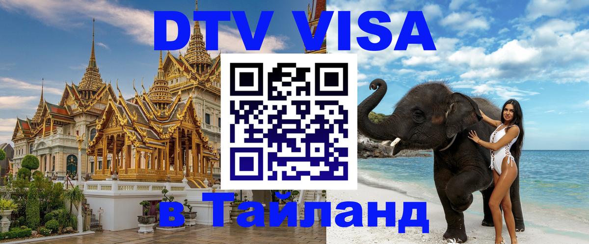 Оформление DTV визы под ключ: стоимость и тарифы, только загранпаспорт - Йошкар-Ола 
